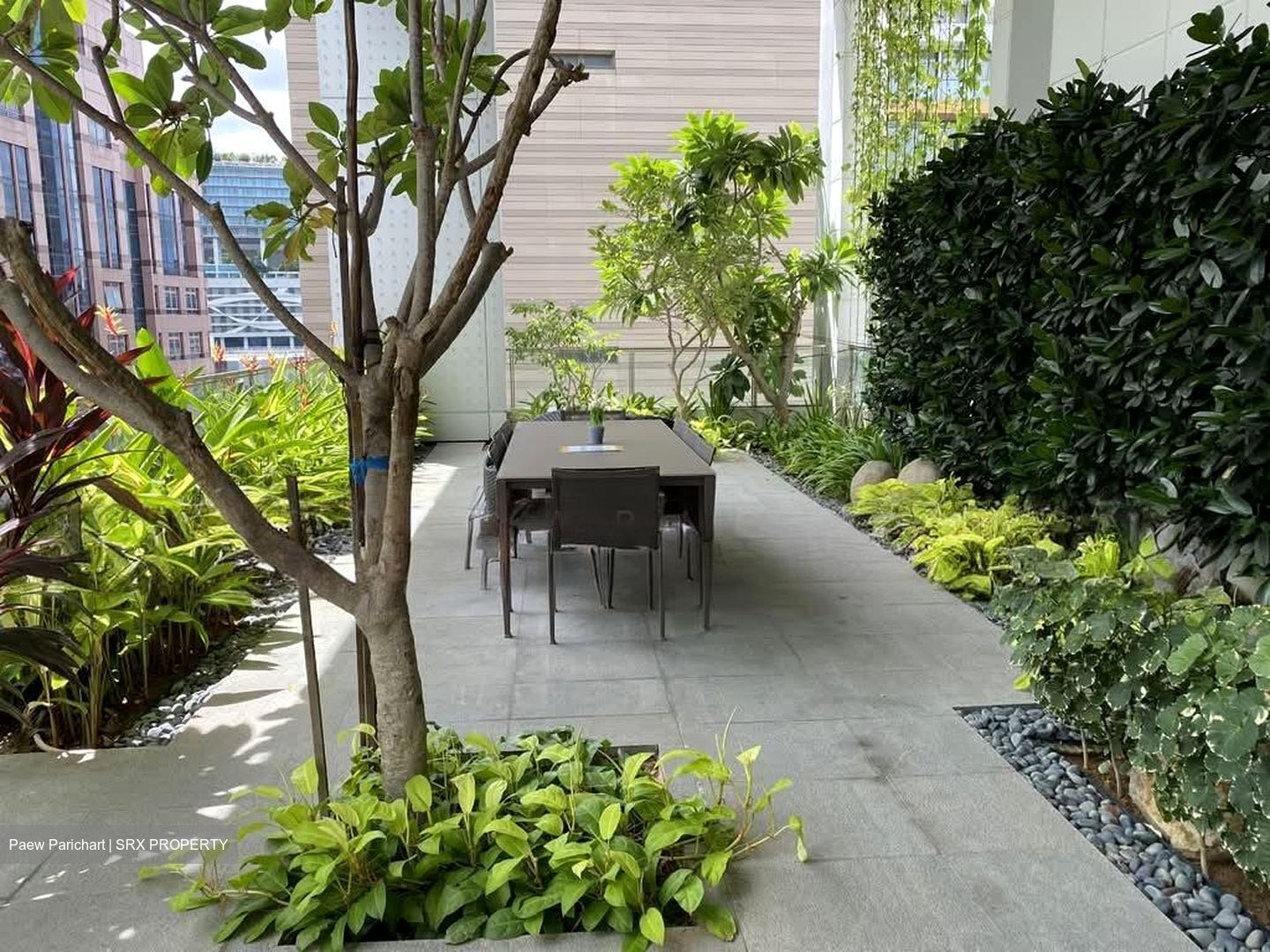 The Boutiq (D9), Apartment #559670411